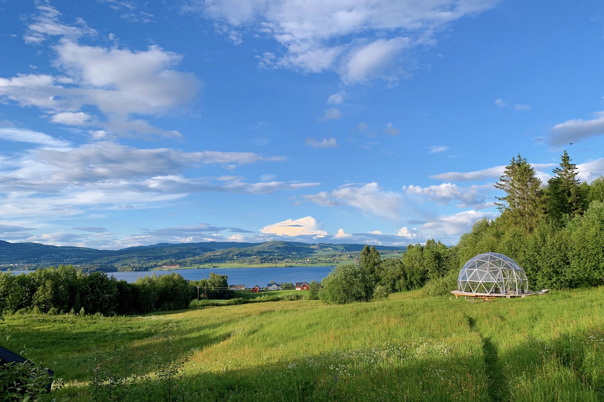 Utsikt over Mjøsa og grønne enger en sommerdag, med en glasskuppel i gresset til høyre